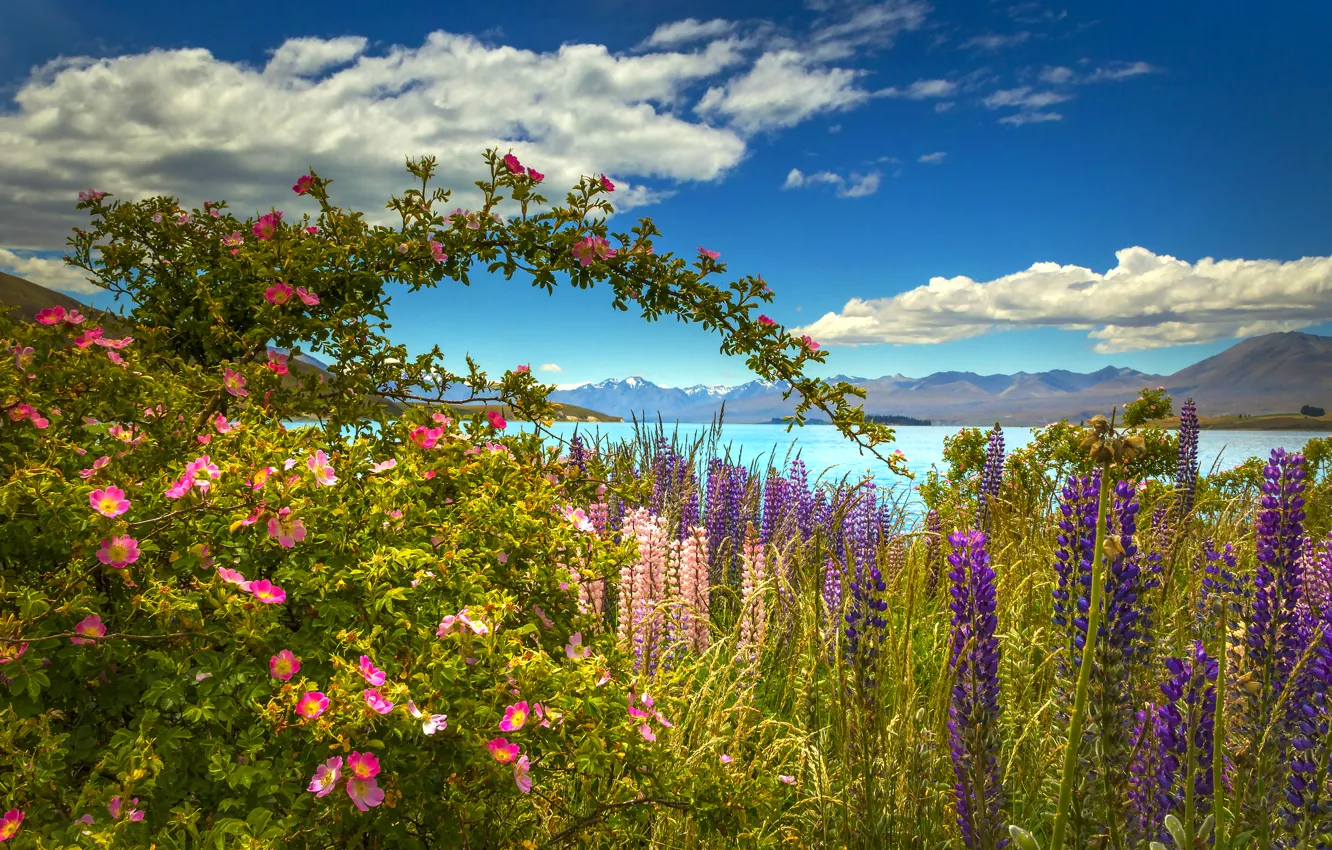Photo wallpaper sea, the sky, clouds, flowers, mountains, beauty, meadow, briar