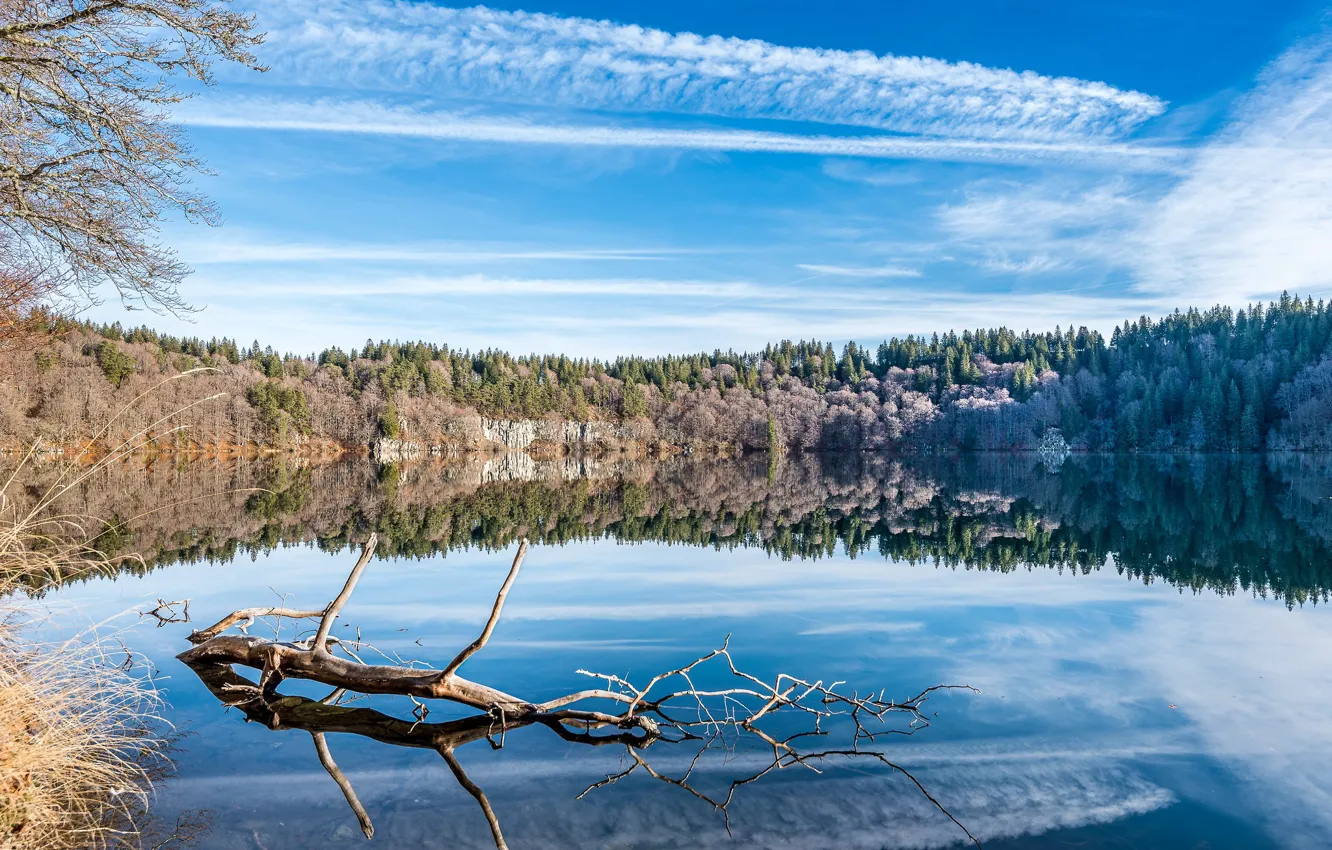 Photo wallpaper forest, lake, reflection, France, snag, France, Lake Pavin, Lac Pavin