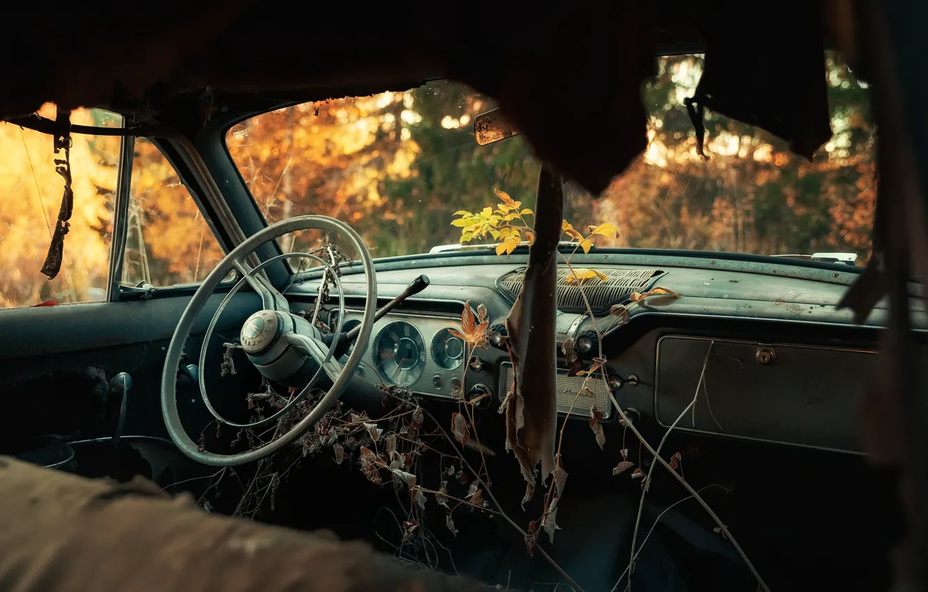 Photo wallpaper machine, the wheel, salon