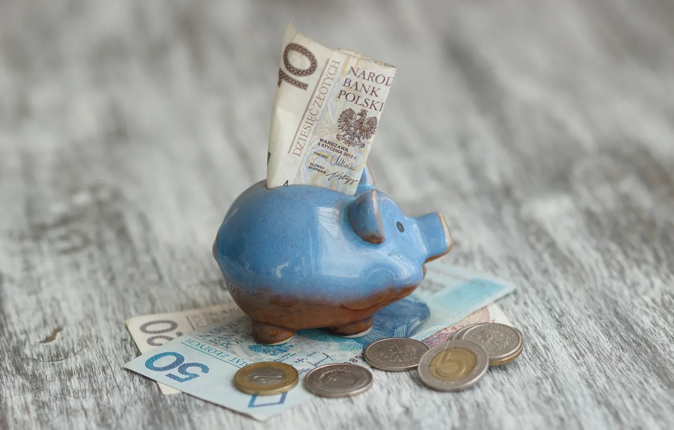 Photo wallpaper money, coins, piggy