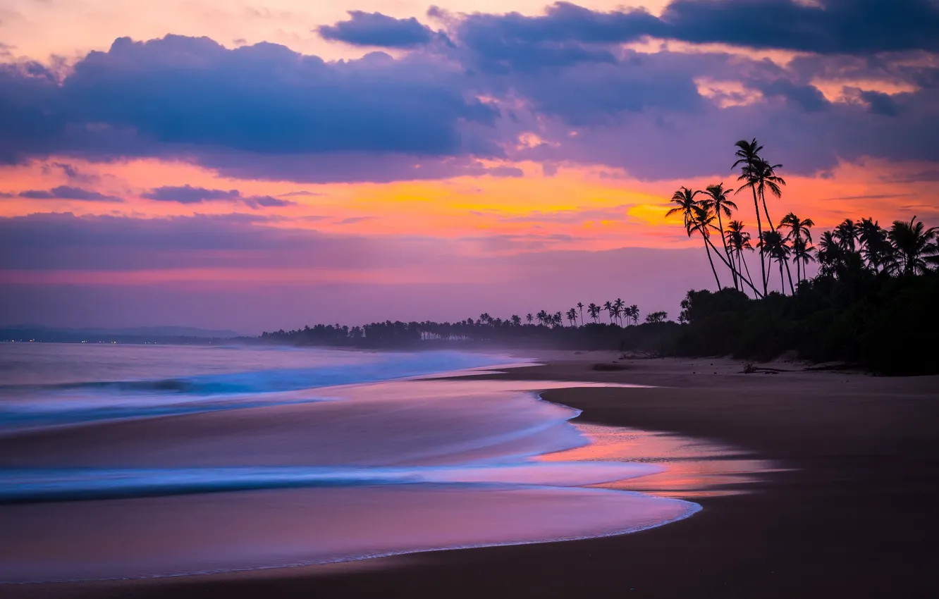 Photo wallpaper sea, beach, the sky, clouds, palm trees, the ocean, the evening