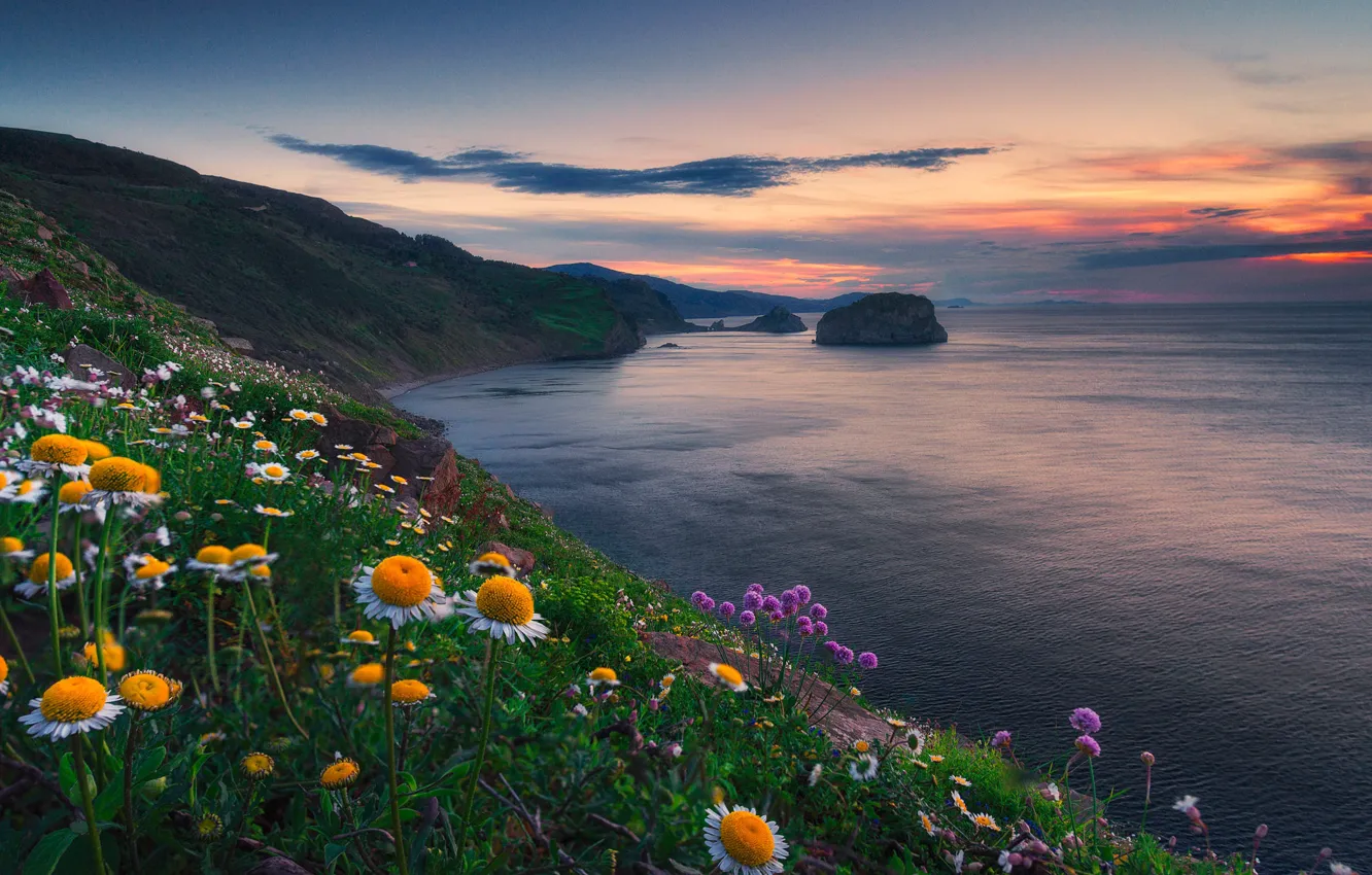 Photo wallpaper sunset, flowers, the ocean, coast, Spain, Spain, The Bay of Biscay, Bay of Biscay