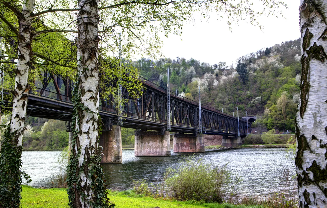 Photo wallpaper bridge, the city, river, photo, shore, Germany, birch, Bullay