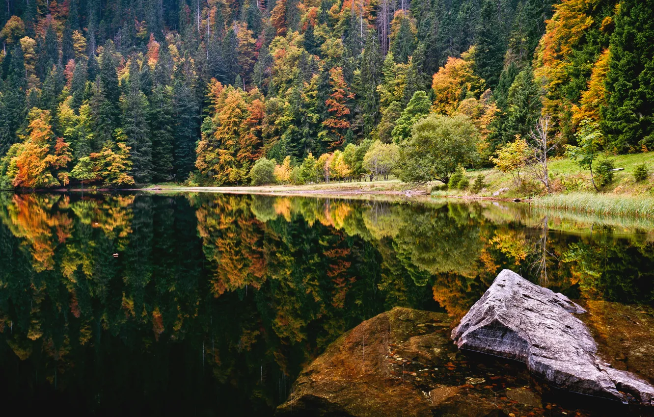 Photo wallpaper autumn, forest, lake, stone