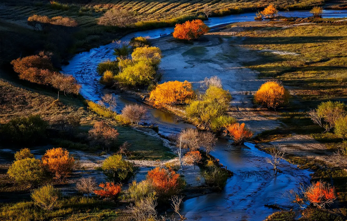 Photo wallpaper autumn, trees, river