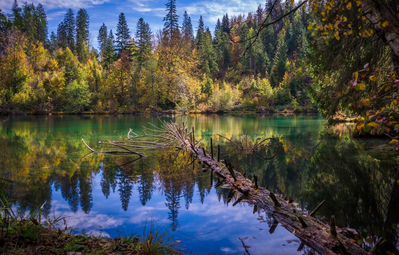 Photo wallpaper autumn, forest, landscape, nature, lake, reflection, Switzerland, lake Cresta