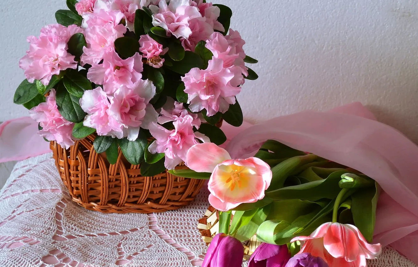 Photo wallpaper flowers, tenderness, tulips, geranium