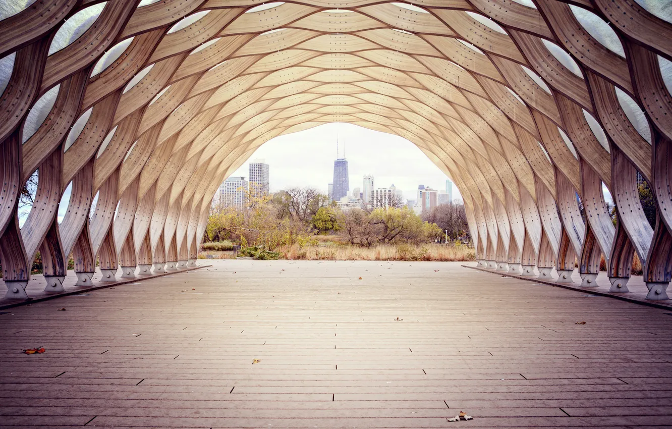 Photo wallpaper trees, the city, the tunnel, Chicago