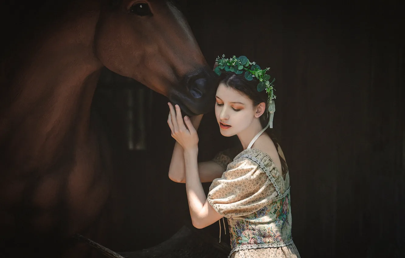 Photo wallpaper girl, the dark background, horse, horse, Chengdu Fengge