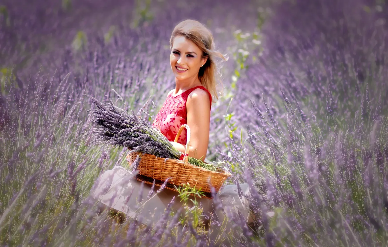 Photo wallpaper field, girl, nature, basket, lavender