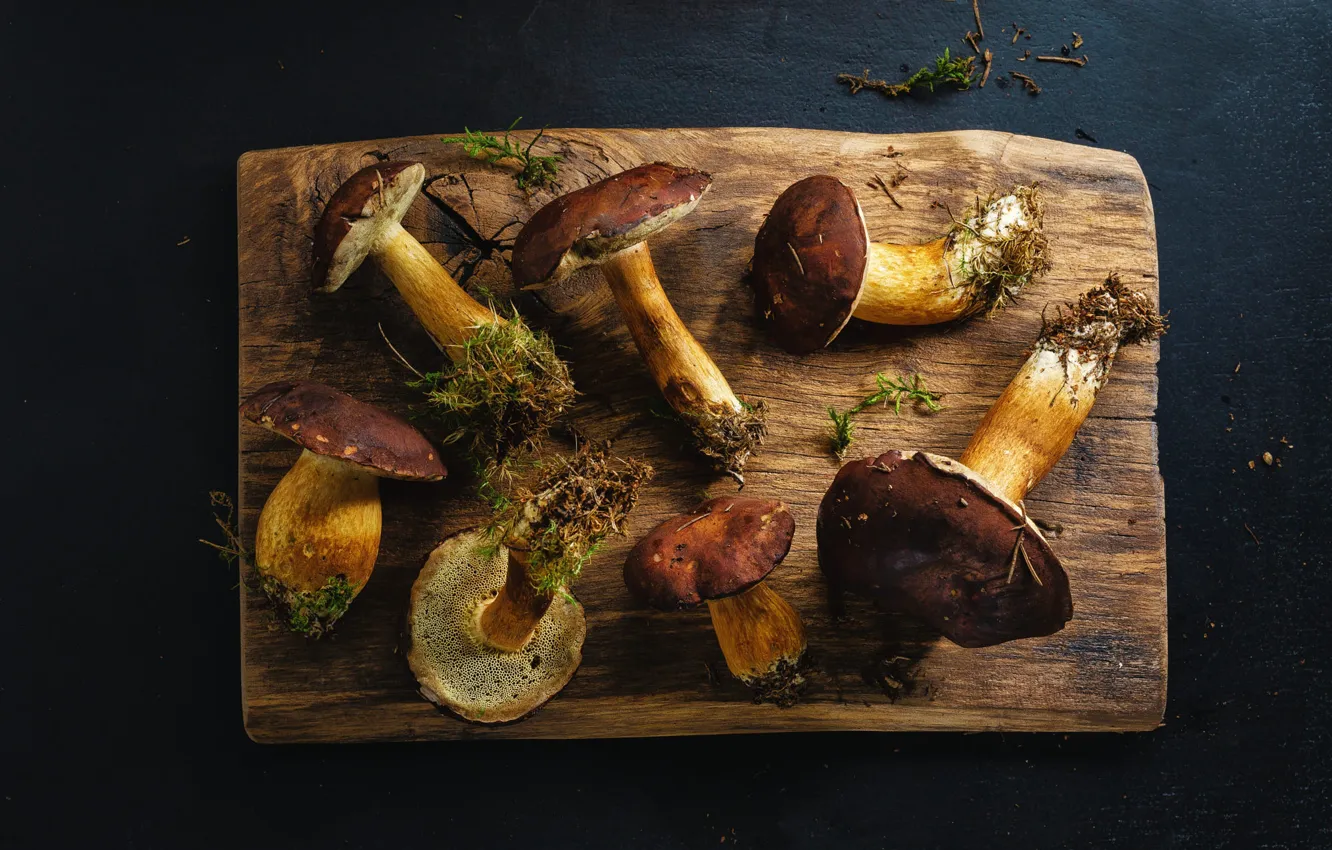 Photo wallpaper the dark background, mushrooms, moss, cutting Board, boletus, obabkov