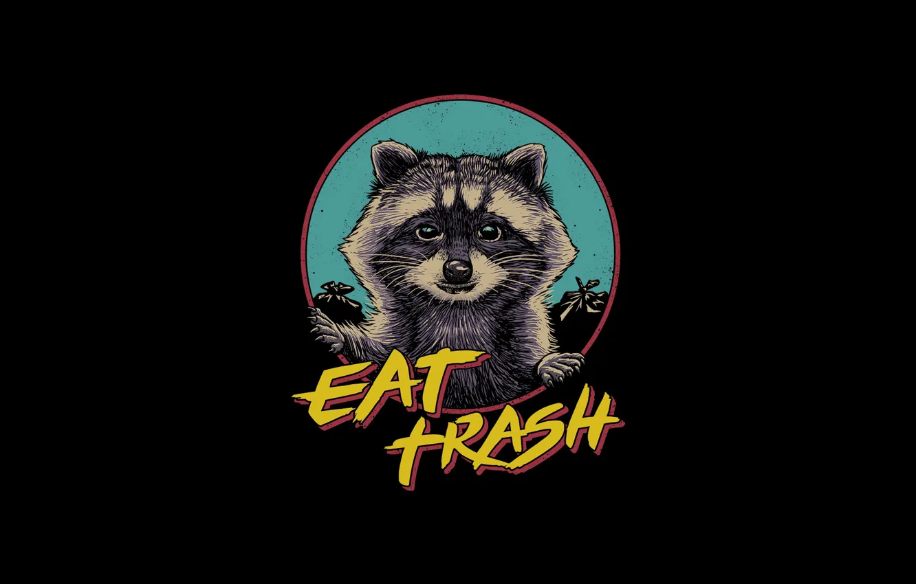 Photo wallpaper face, style, background, animal, minimalism, humor, art, raccoon