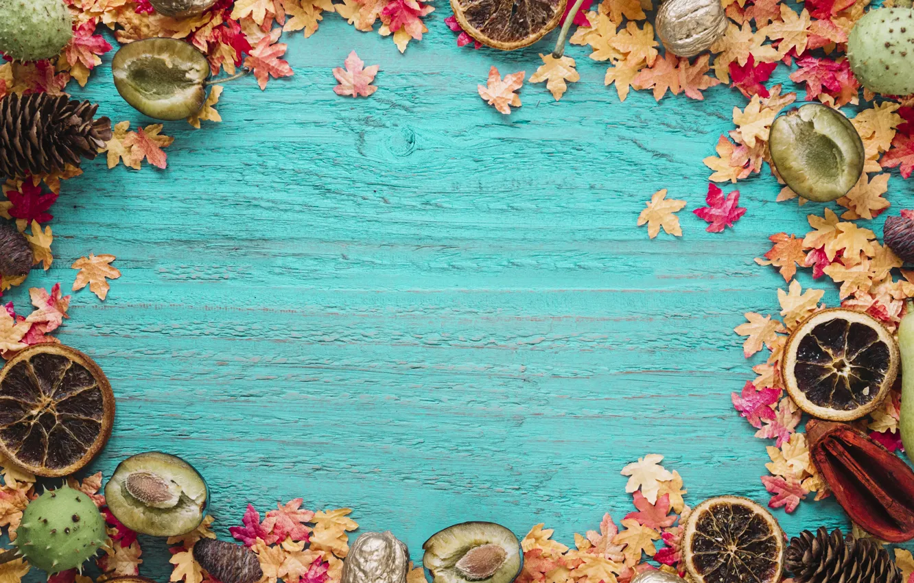 Photo wallpaper autumn, leaves, trees, background, orange, colorful, fruit, plum