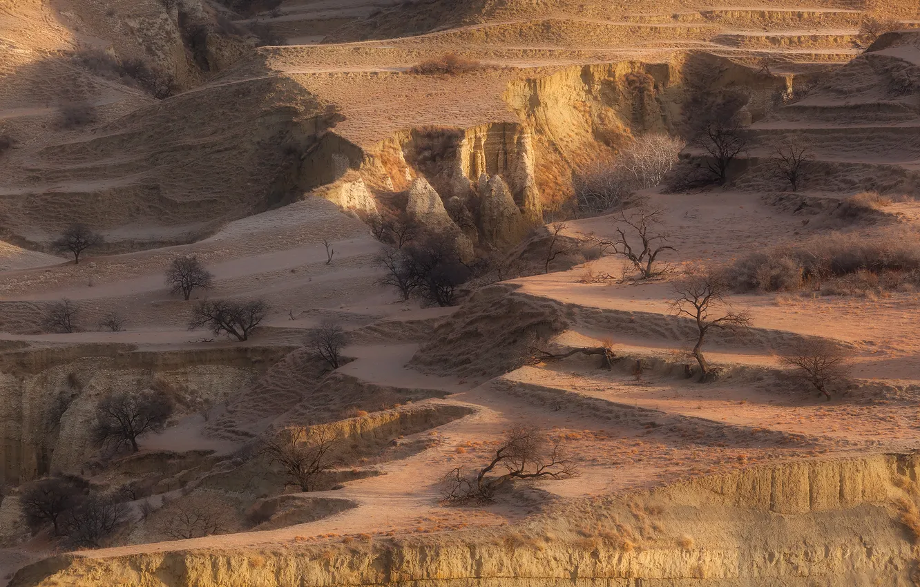 Photo wallpaper desert, relief, arid