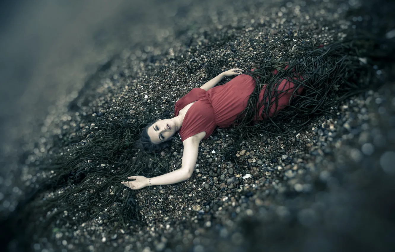 Photo wallpaper sea, girl, network