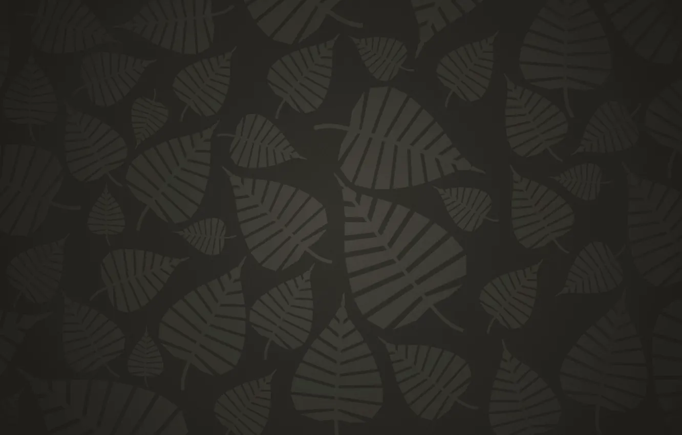 Photo wallpaper leaves, grey, background, black, dark