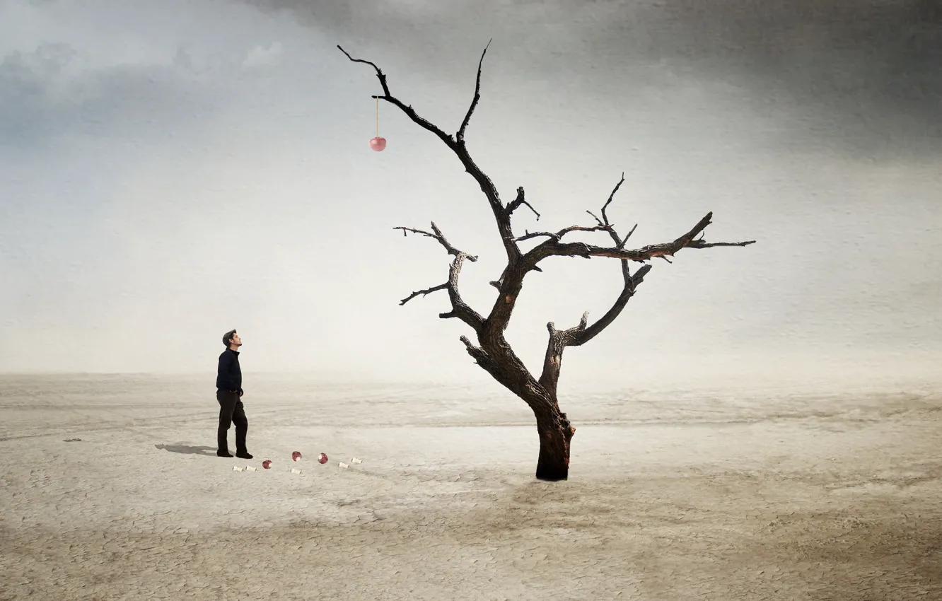 Photo wallpaper cherry, tree, desert, the situation, guy