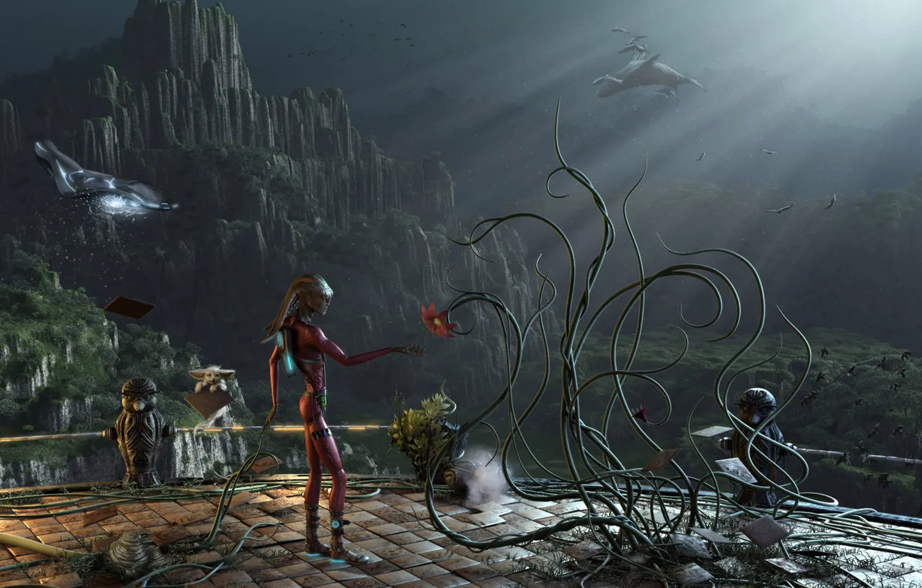 Photo wallpaper flowers, mountains, The Pilgrim