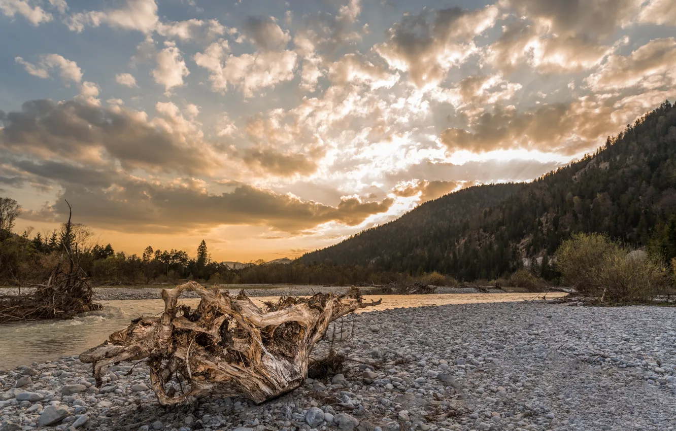 Photo wallpaper forest, the sky, mountains, river, log