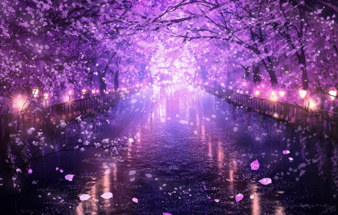 Photo wallpaper water, the evening, Sakura, flowering