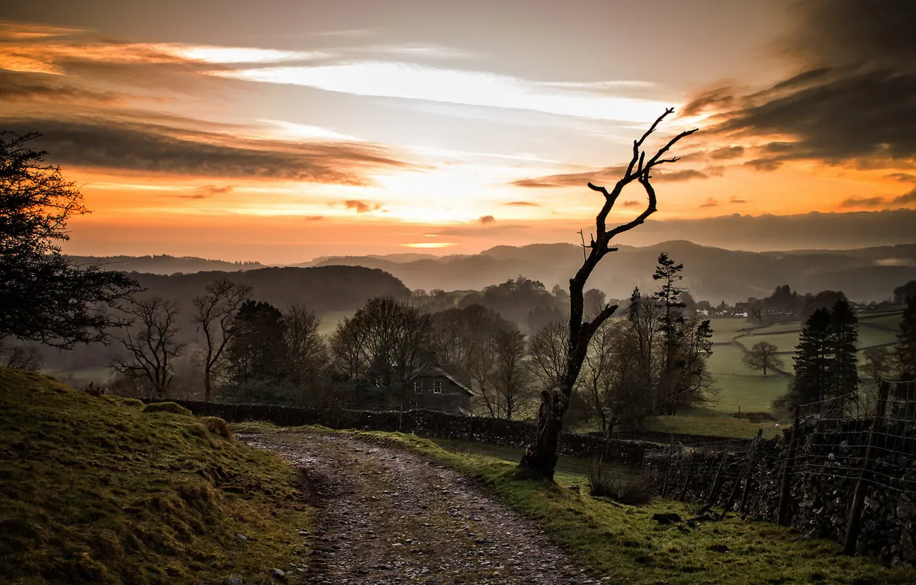 Photo wallpaper road, trees, landscape