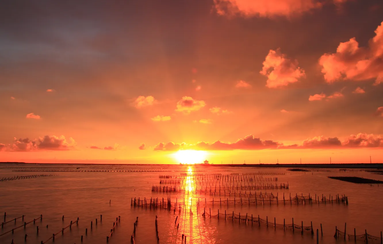 Photo wallpaper sea, the sun, light, network, track, Bay, shallow water