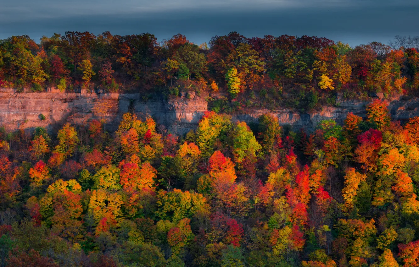 Photo wallpaper autumn, forest, the sky, light, trees, mountains, nature, rocks