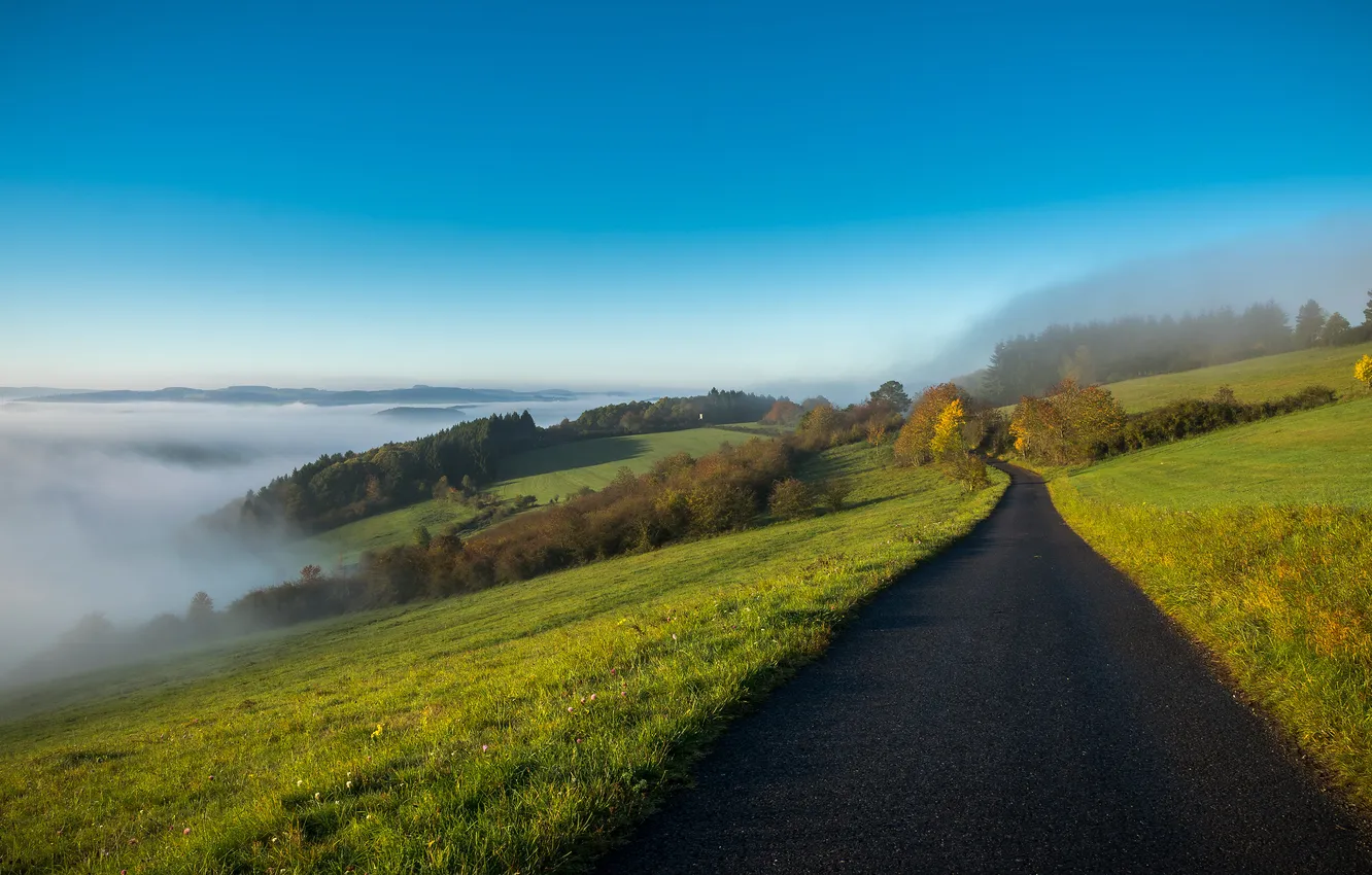 Photo wallpaper road, field, autumn, blue