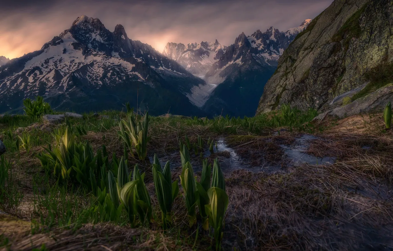 Photo wallpaper grass, leaves, snow, landscape, mountains, nature, fog, morning