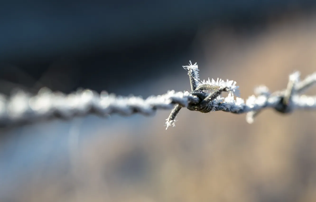 Photo wallpaper frost, the fence, wire
