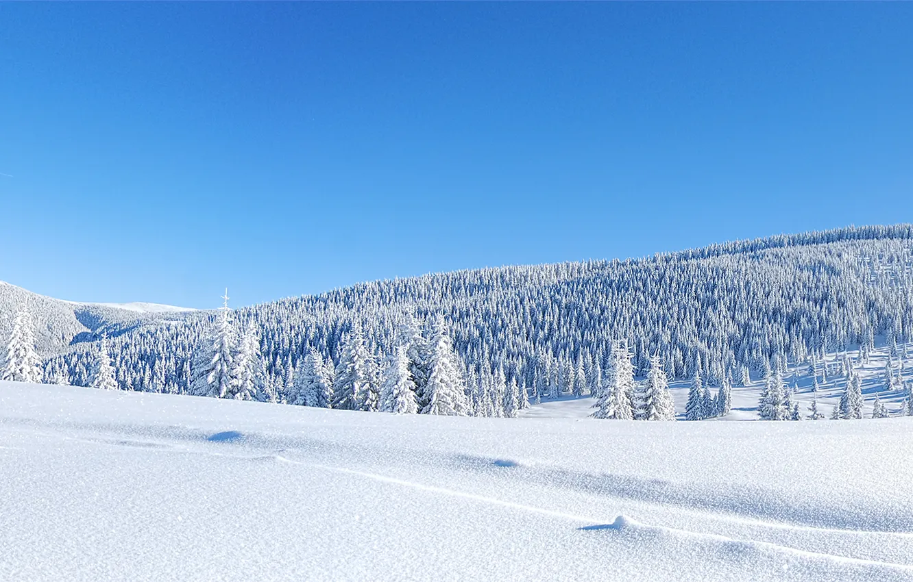 Photo wallpaper winter, frost, field, forest, snow, mountains, hills, in the snow