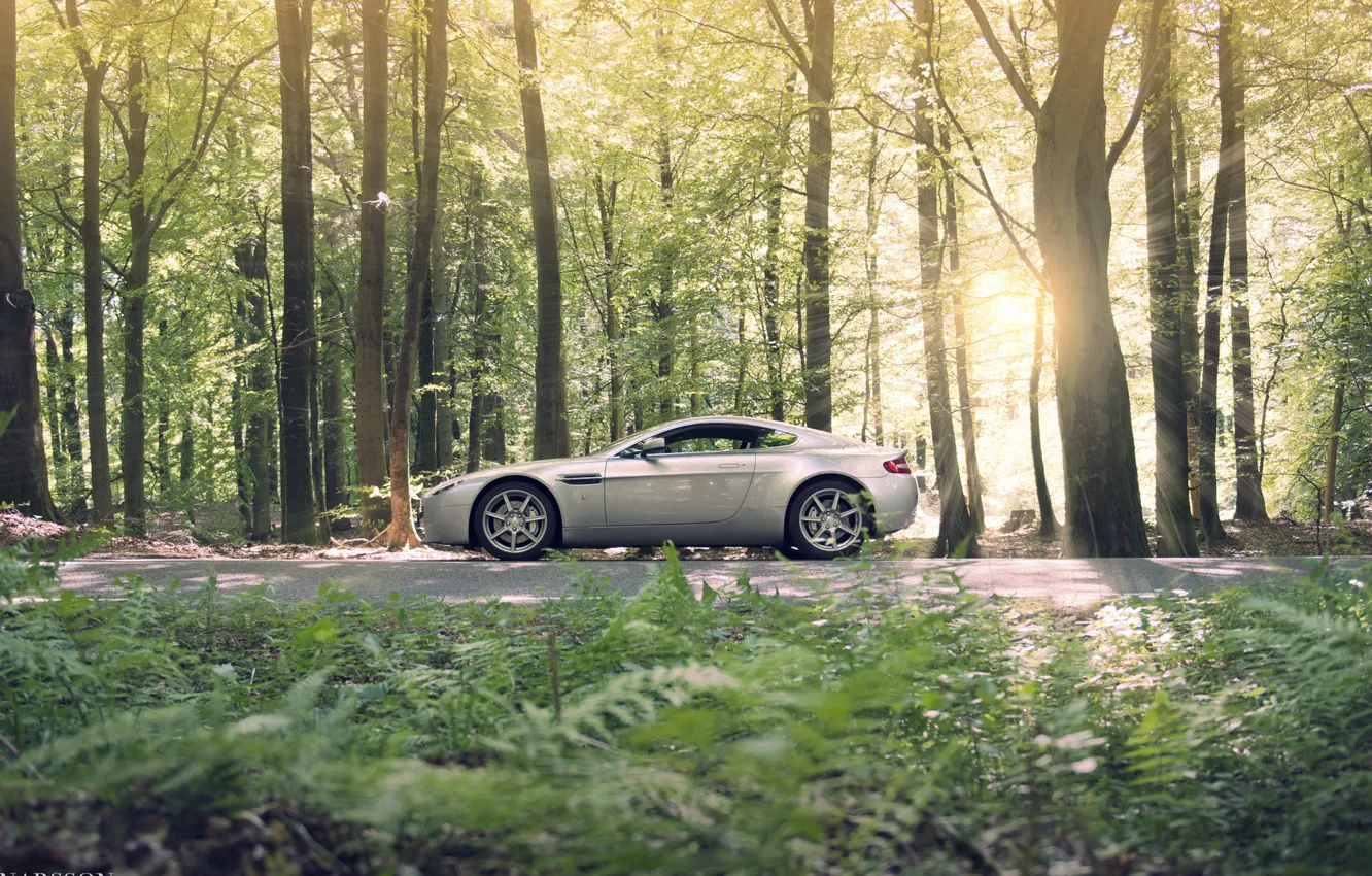 Photo wallpaper forest, silver, profile, Aston Martin, Aston martin, vantage
