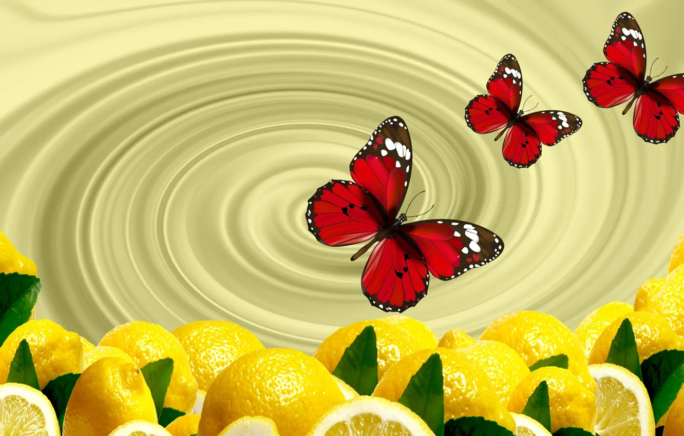Photo wallpaper butterfly, Wallpaper, citrus, lemons