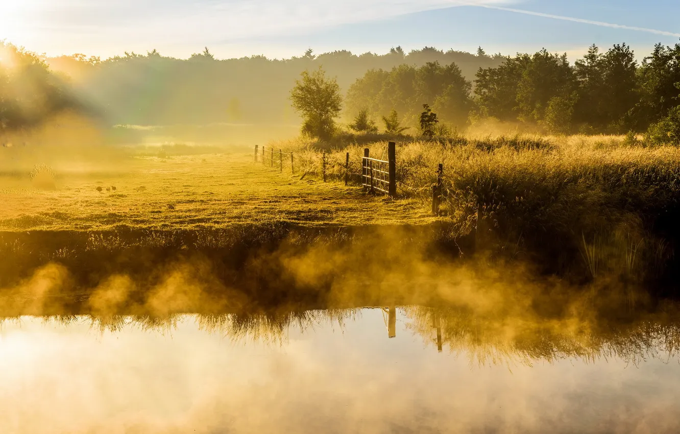 Photo wallpaper fog, river, morning