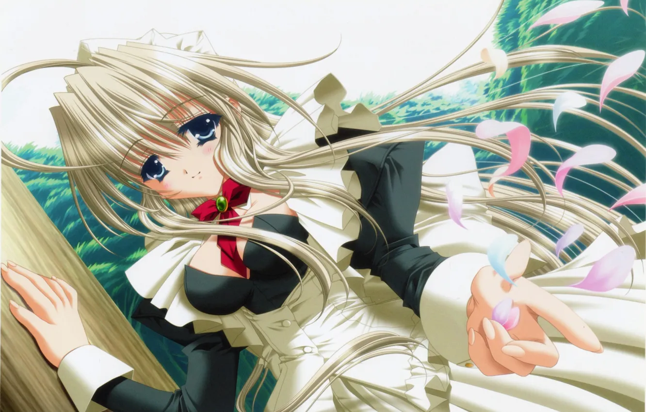 Photo wallpaper neckline, corset, long hair, rose petals, the maid, bangs, ruffles, visual novel