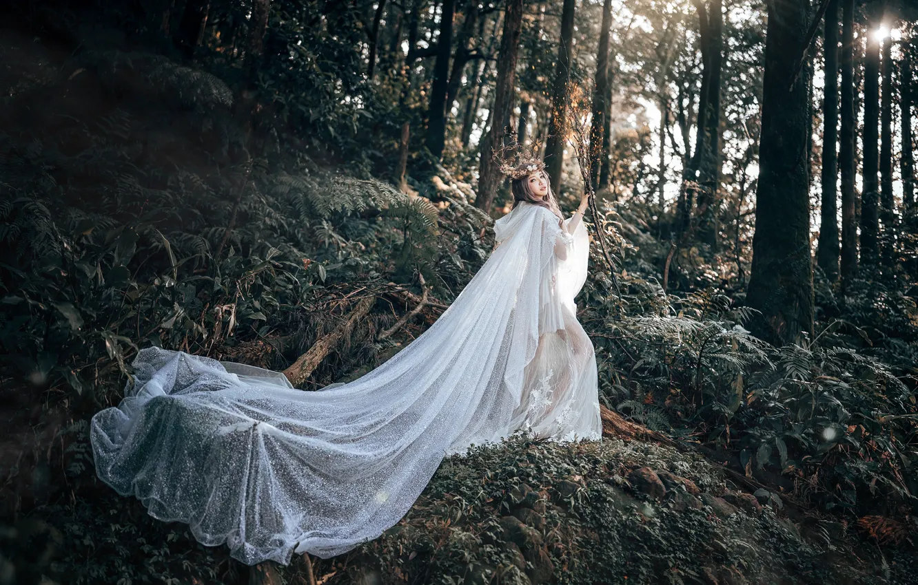 Photo wallpaper forest, look, girl, light, trees, flowers, nature, pose