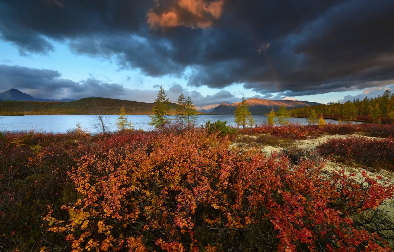 Photo wallpaper autumn, forest, mountains, clouds, hills, shore, foliage, ate