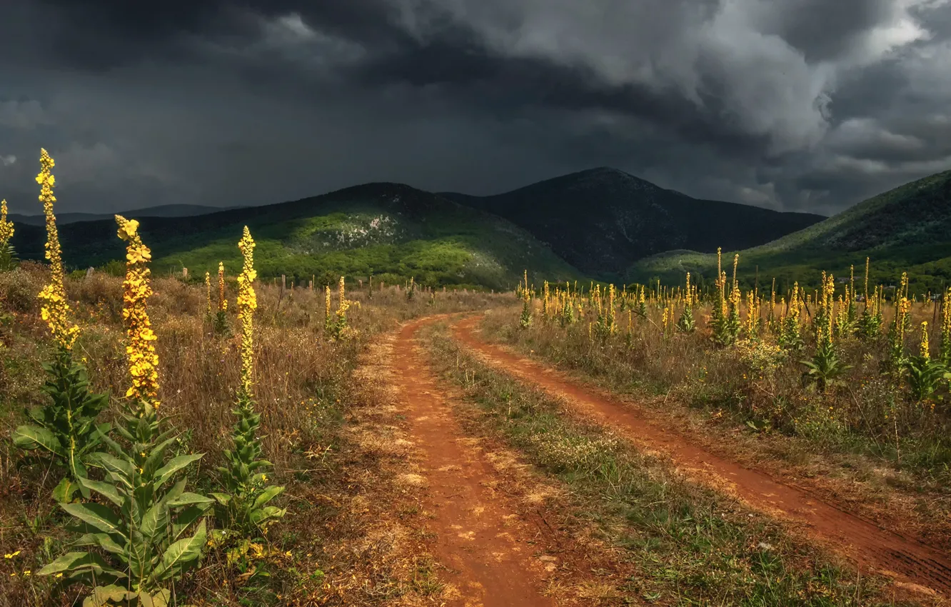 Photo wallpaper road, the storm, landscape, clouds, nature, hills, Crimea