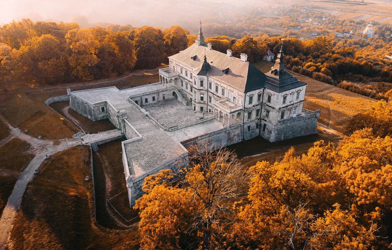 Photo wallpaper forest, wear, mansion, abandonment