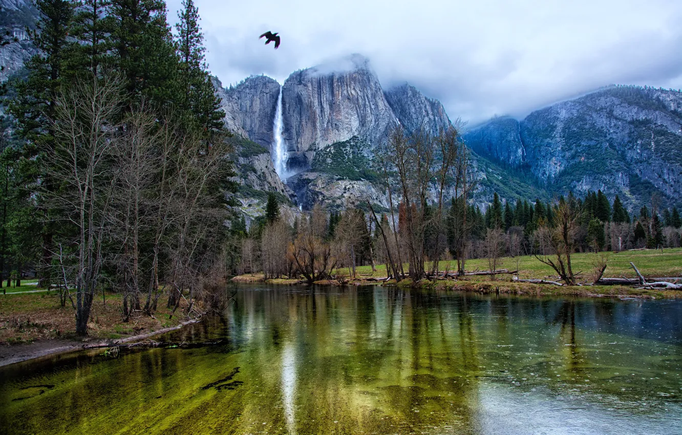 Photo wallpaper forest, trees, mountains, river, rocks, waterfall, USA, Yosemite