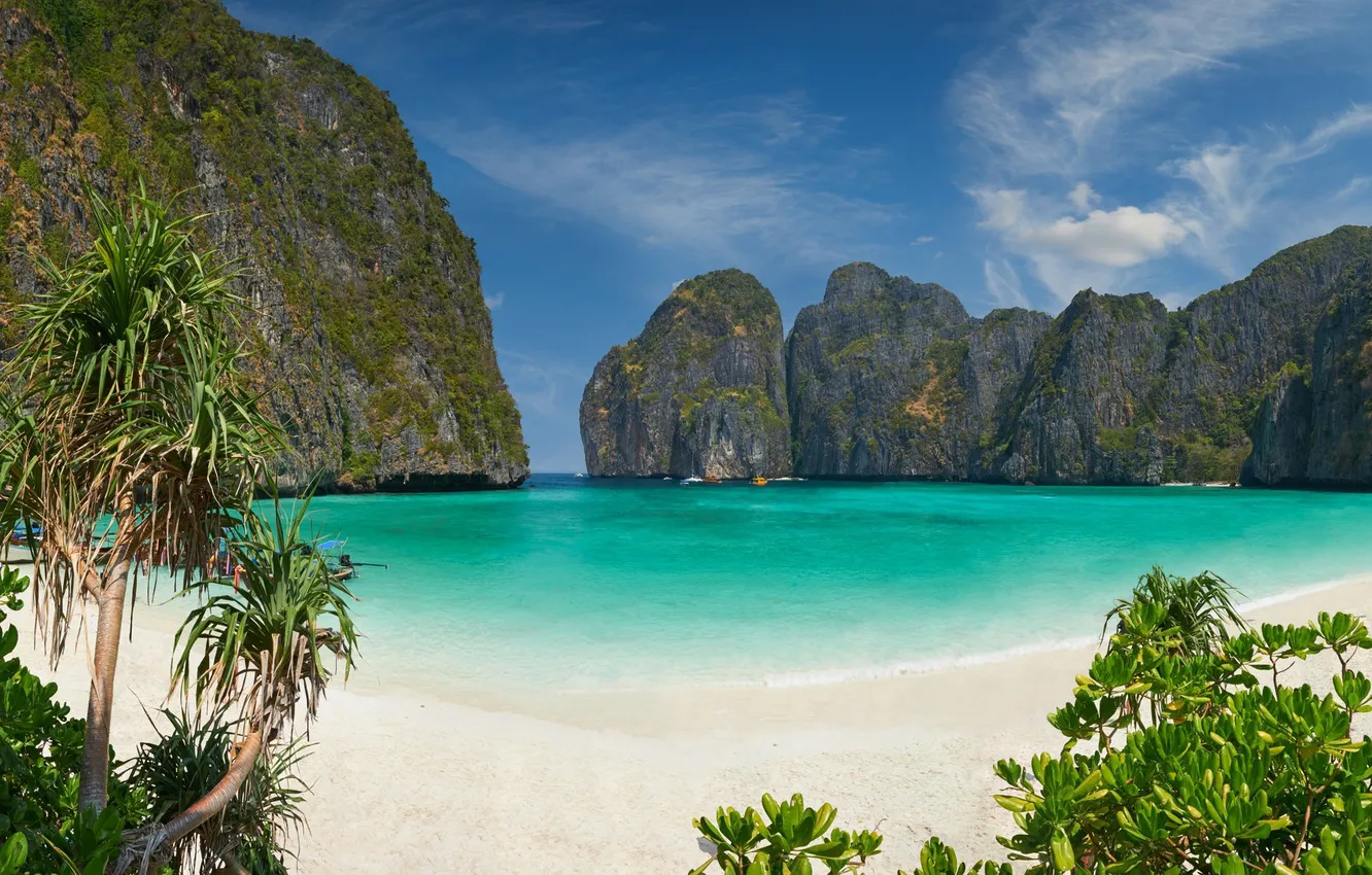 Photo wallpaper sea, beach, landscape, palm trees, Thailand, resort