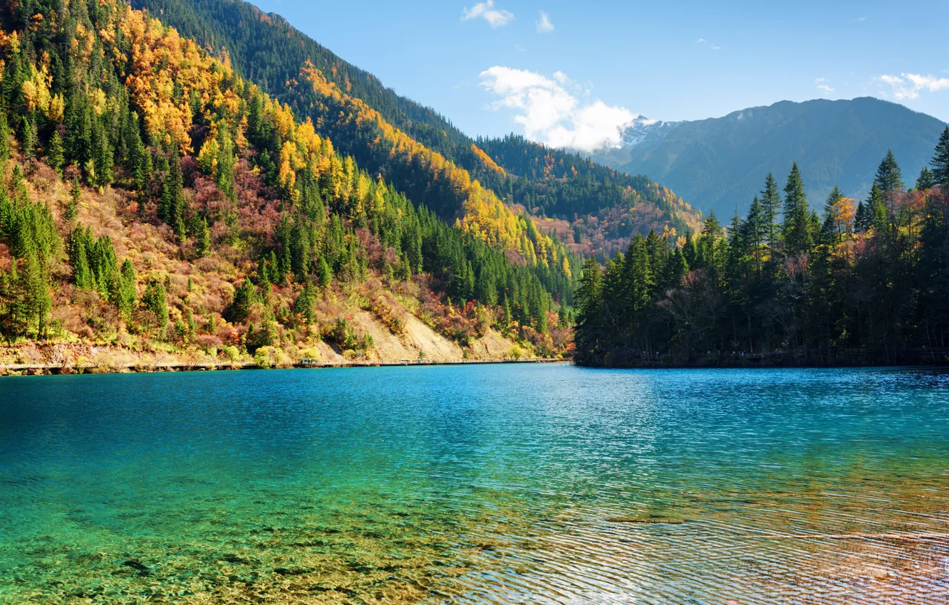 Photo wallpaper autumn, forest, trees, mountains, lake, China, Sunny, reserve