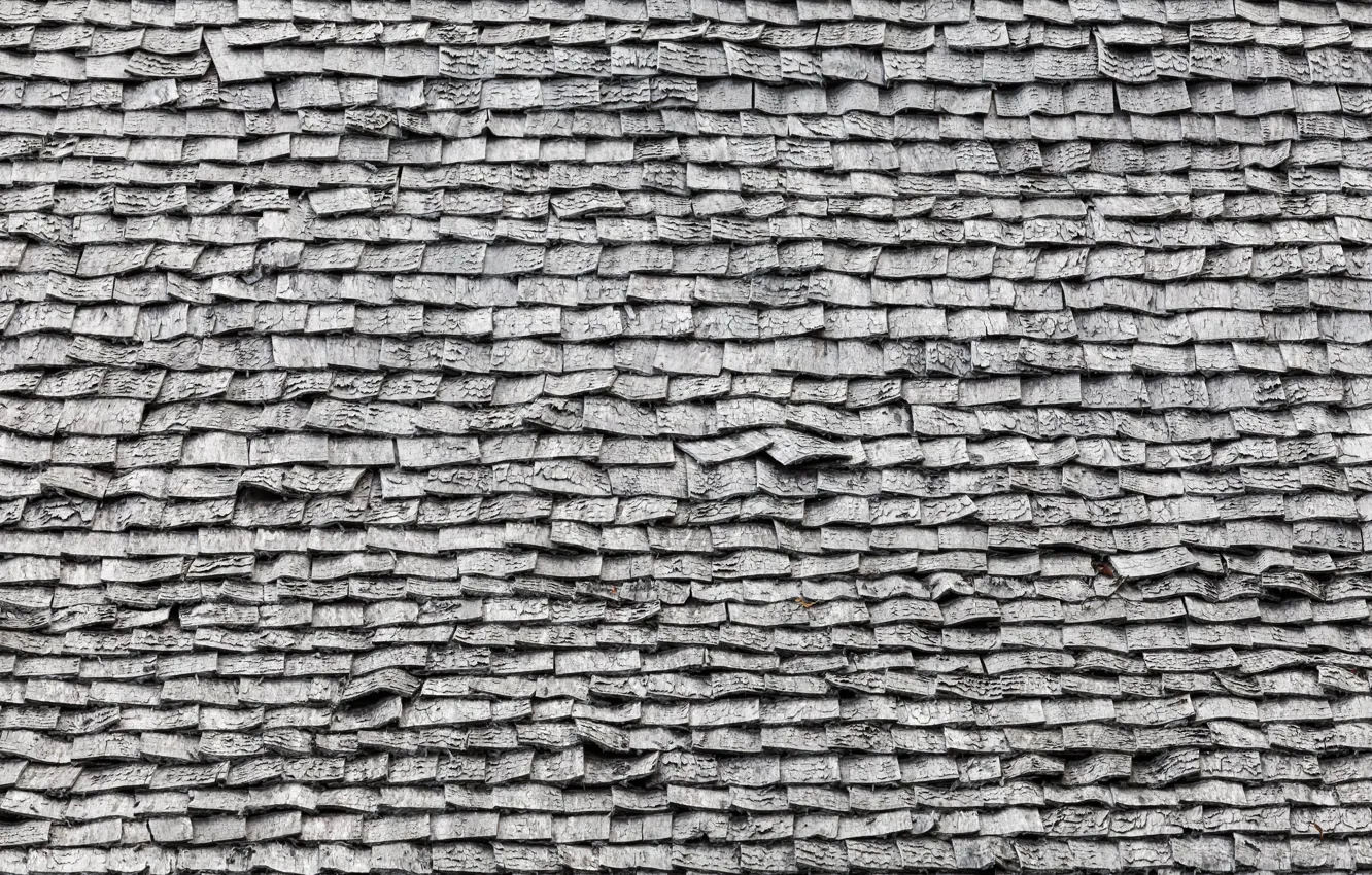 Photo wallpaper Wall, bricks, pattern, gray