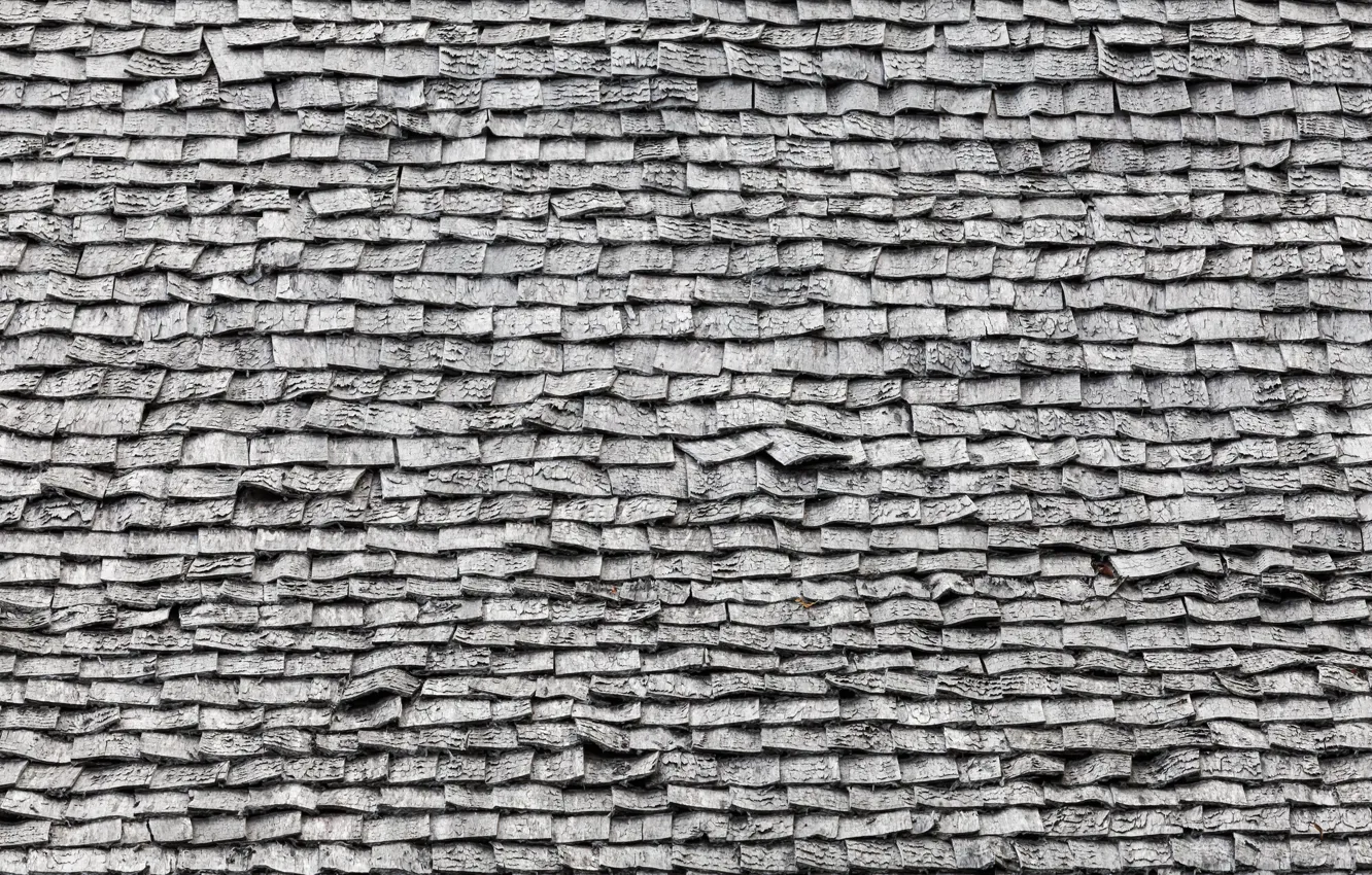 Photo wallpaper wall, bricks, pattern, gray