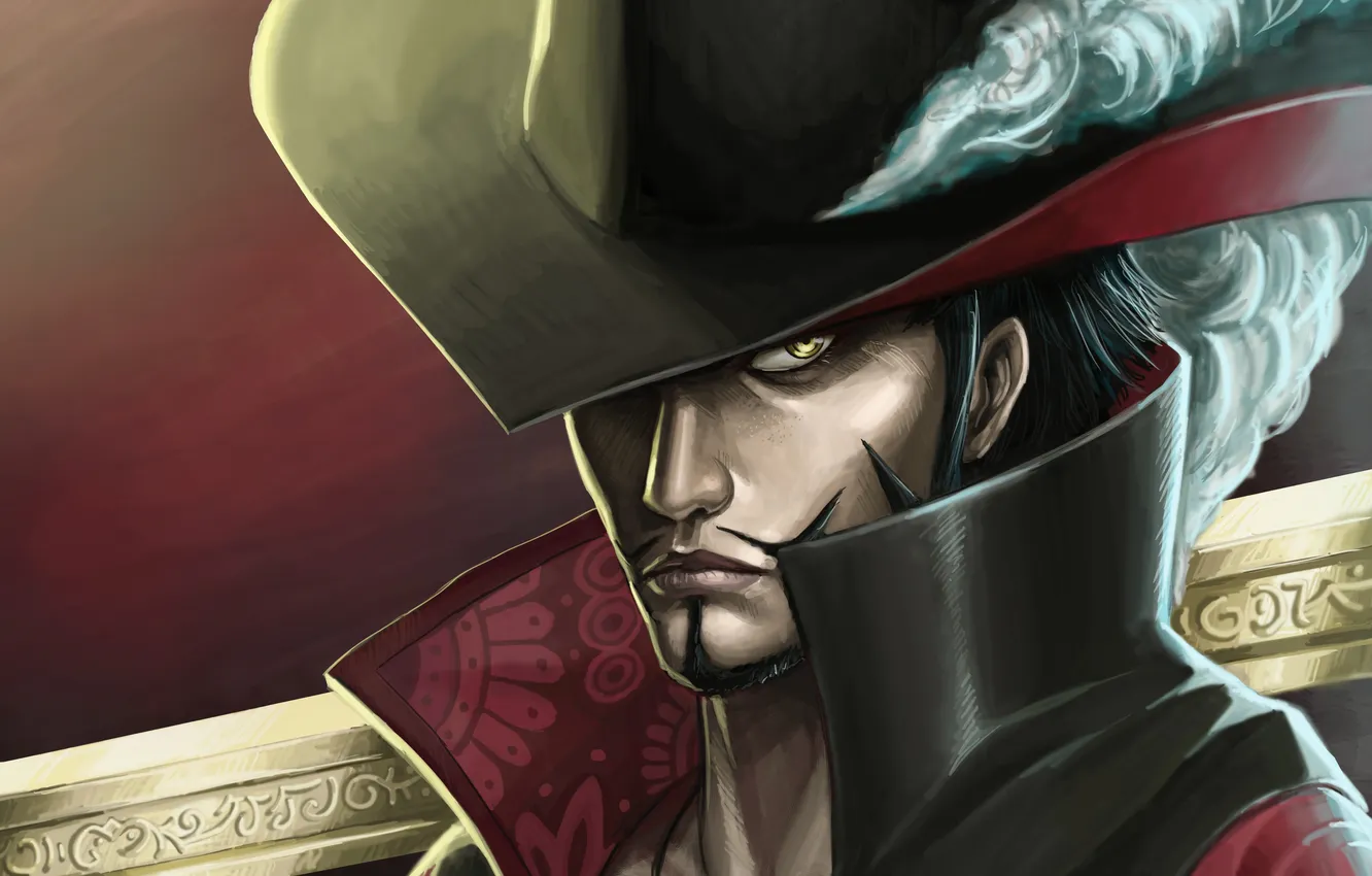 Photo wallpaper look, weapons, hat, feathers, guy, One Piece, art, Hell Mihawk