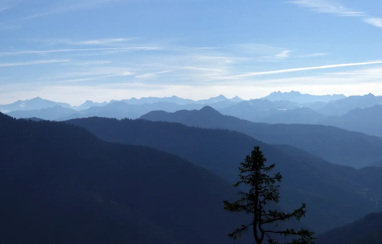 Photo wallpaper trees, landscape, mountains