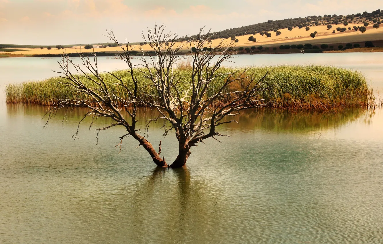 Photo wallpaper the sky, trees, mountains, lake, island