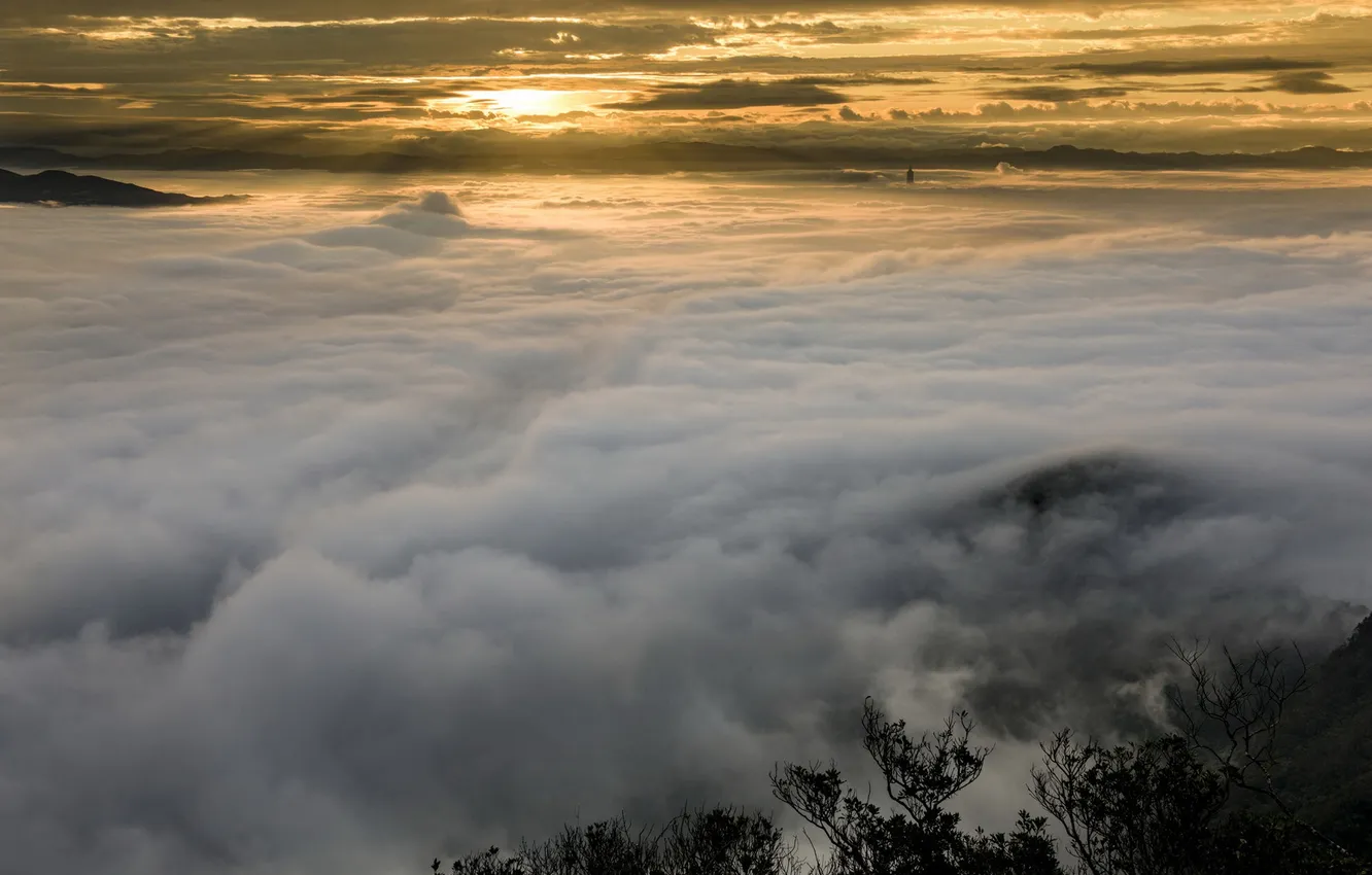 Photo wallpaper the sky, night, fog