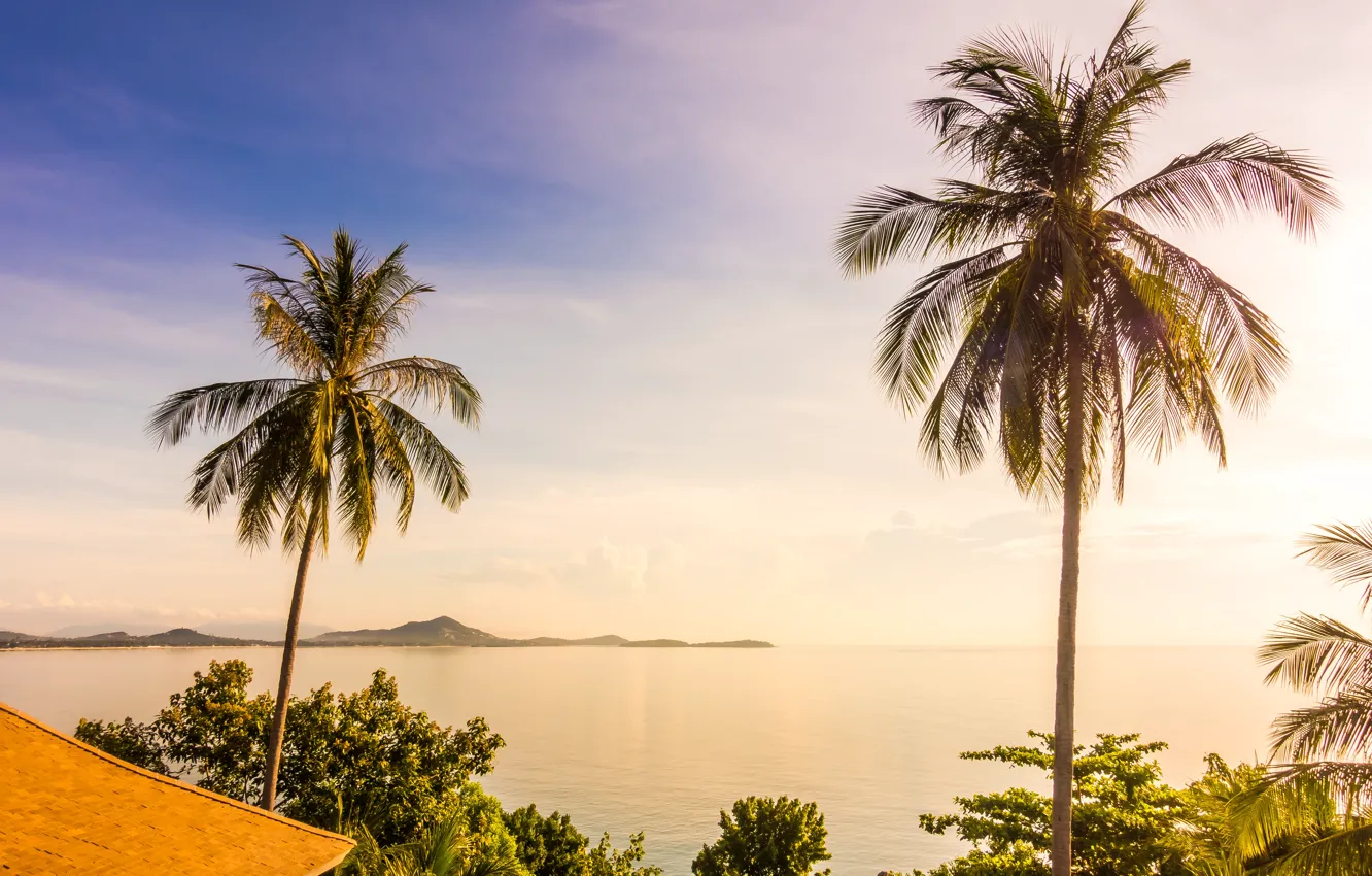 Photo wallpaper sand, sea, wave, beach, summer, the sky, palm trees, shore