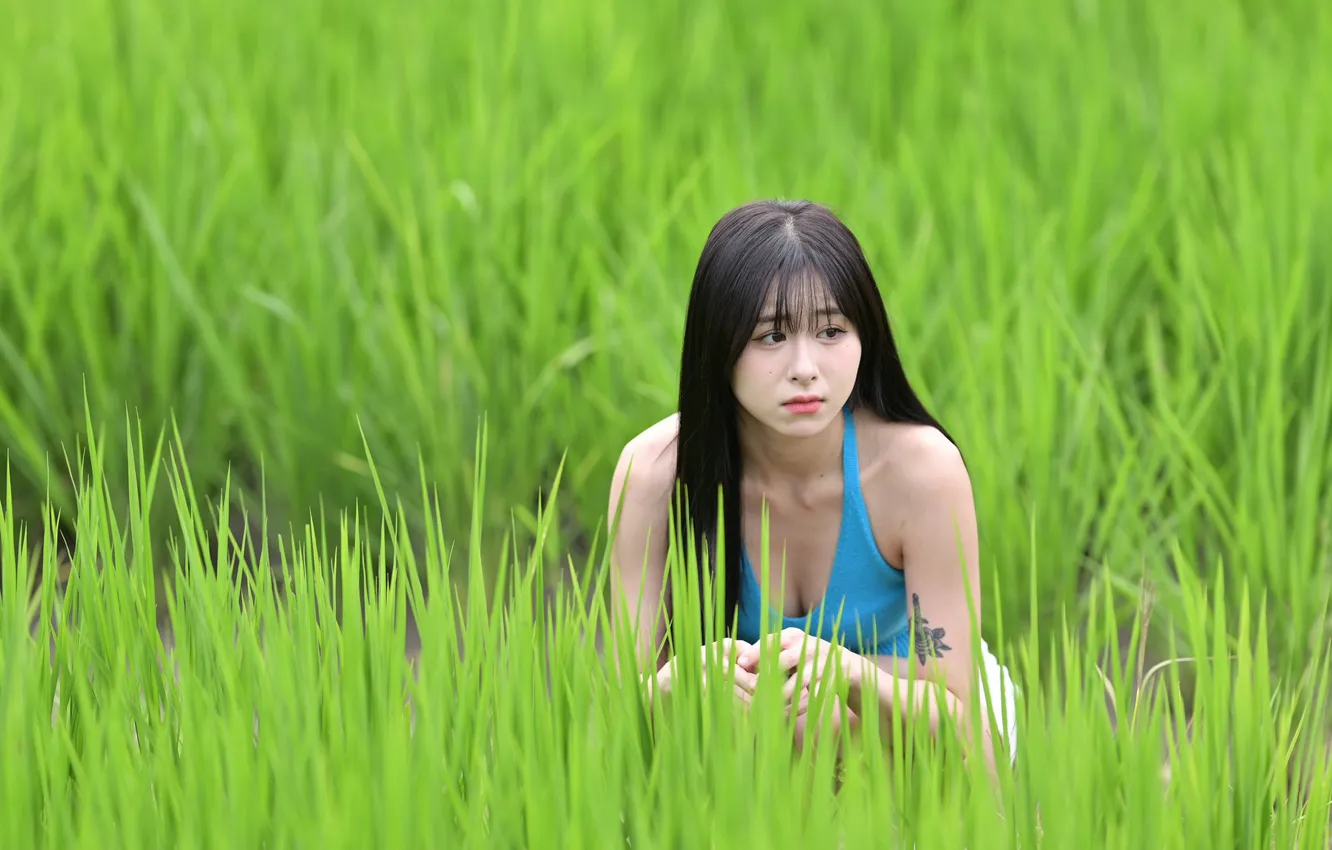 Photo wallpaper grass, girl, Mike, brunette, Asian
